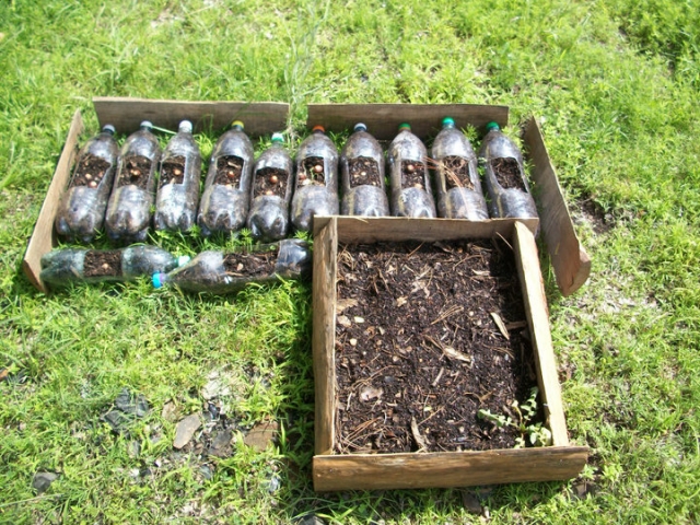 Talleres ecologicos